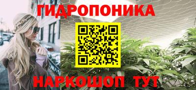 сатива Гагарин