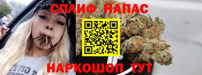 сатива Гагарин